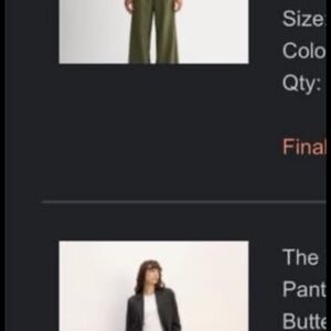 Ever lane Draper pleated pants